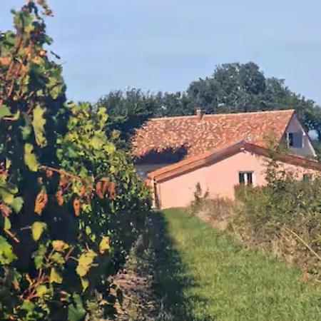 Charmante Maison Avec Piscine * Pomport